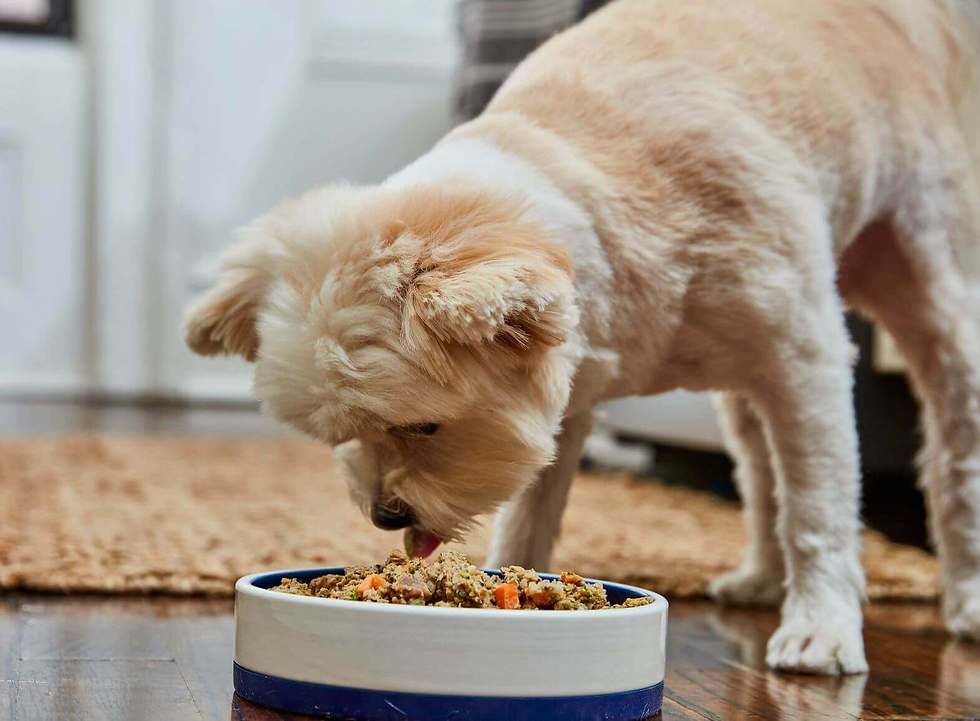 How much cooked chicken to feed a dog daily