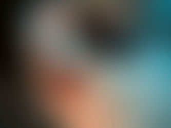 Pourquoi mon chat marque son territoire ? La science du comportement félin enfin expliquée