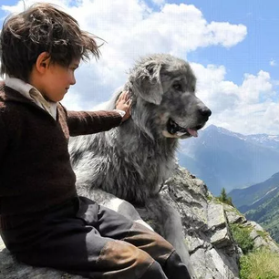 Belle et Sébastien : la plus grande arnaque sur la relation homme-chien ?