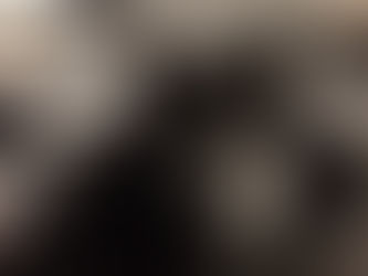 [Coup de Gueule] [Prise en charge] : chaton environ 6 semaines