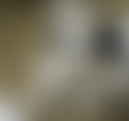 Great Pyrenees vs. Komondor. Which livestock guardian dog is the best?