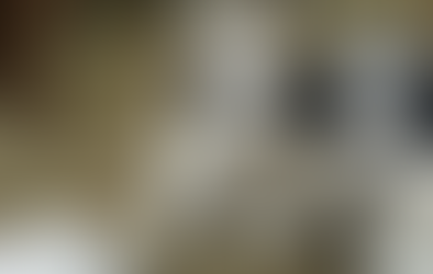 Great Pyrenees vs. Komondor. Which livestock guardian dog is the best?