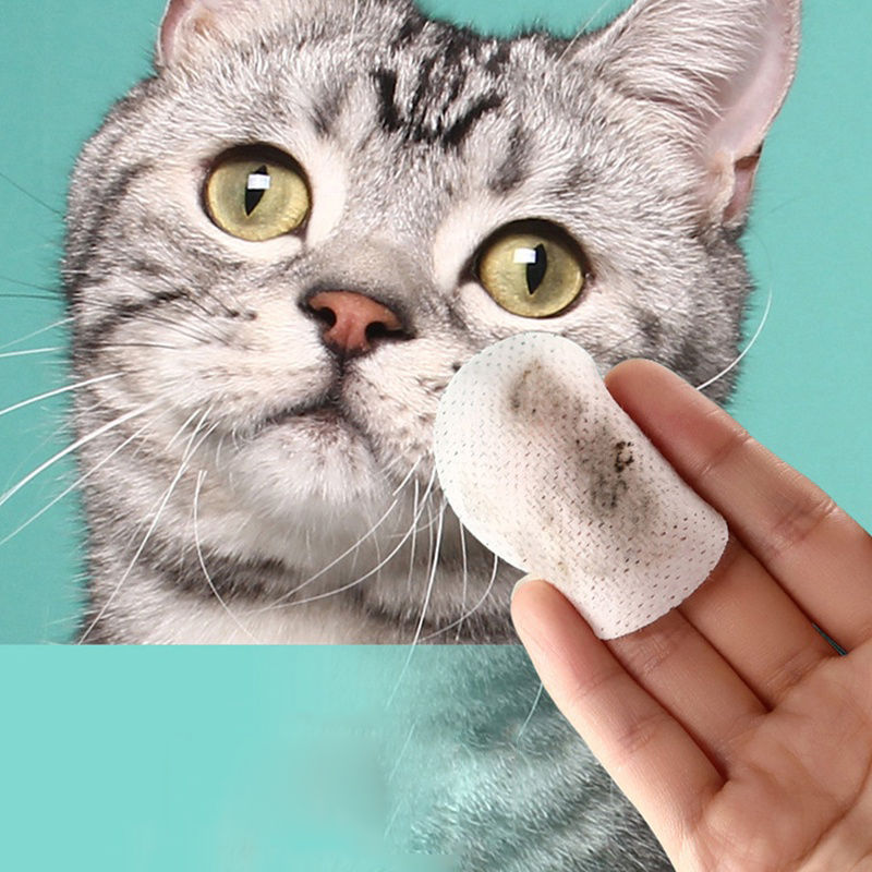 Thumbnail: lingette nettoyante chien chat