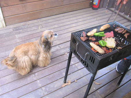 犬連れ旅行記②バーベキュー編