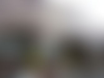 犬連れ旅行記④ペニーレイン編(パン)