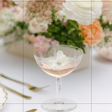 champagne saucer