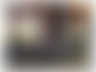 開所日メタセコイア並木散策