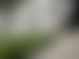 Sprzątanie klatek schodowych i terenów wokół budynków w Knurowie i Gliwicach – profesjonalne usługi dla wspólnot mieszkaniowych