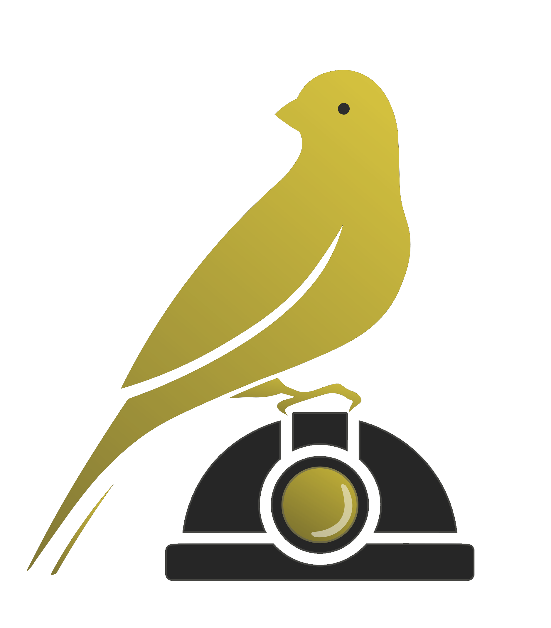 canary logo.png
