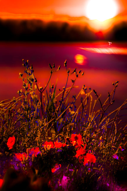 À travers la photographie, Arthur Astier compose une œuvre où la lumière révèle l’intime, le silence et les mondes invisibles. Entre présence, mystère et émotion, chaque image ouvre un espace de réenchantement lucide du réel.