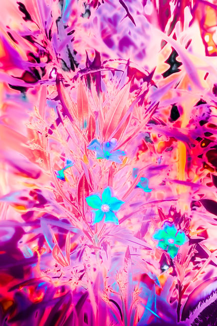 À travers la photographie, Arthur Astier compose une œuvre où la lumière révèle l’intime, le silence et les mondes invisibles. Entre présence, mystère et émotion, chaque image ouvre un espace de réenchantement lucide du réel.
