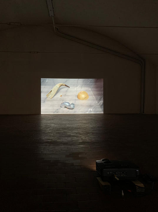 li dove inizia la pittura luce-video 02.jpeg