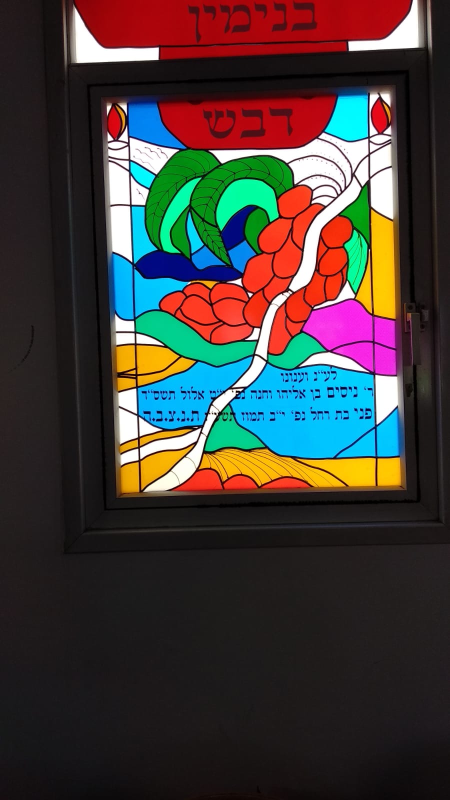 ויטראז'ים 12 שבטים- שבעת המינים (12)