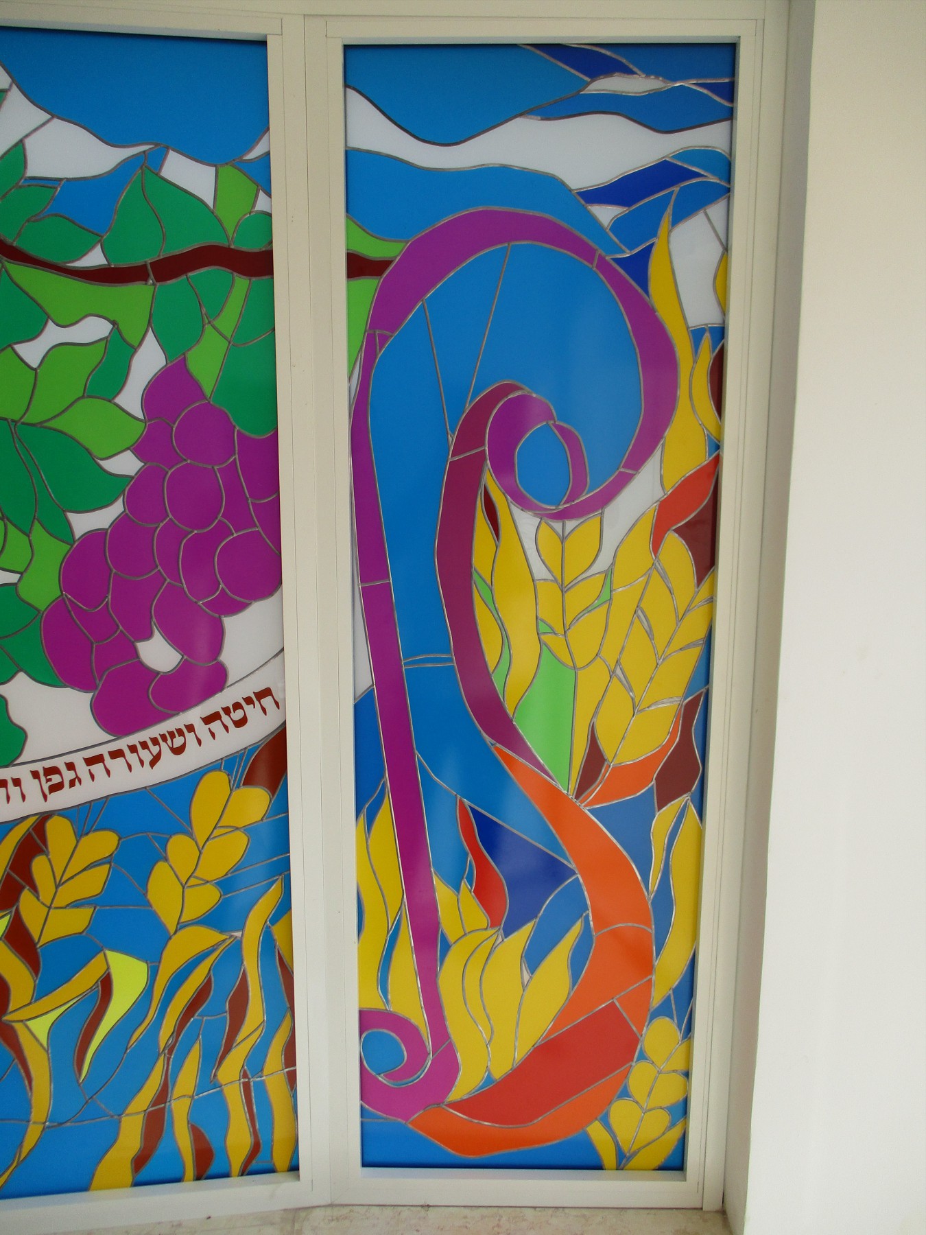 ויטראז'ים שבעת המינים (6)