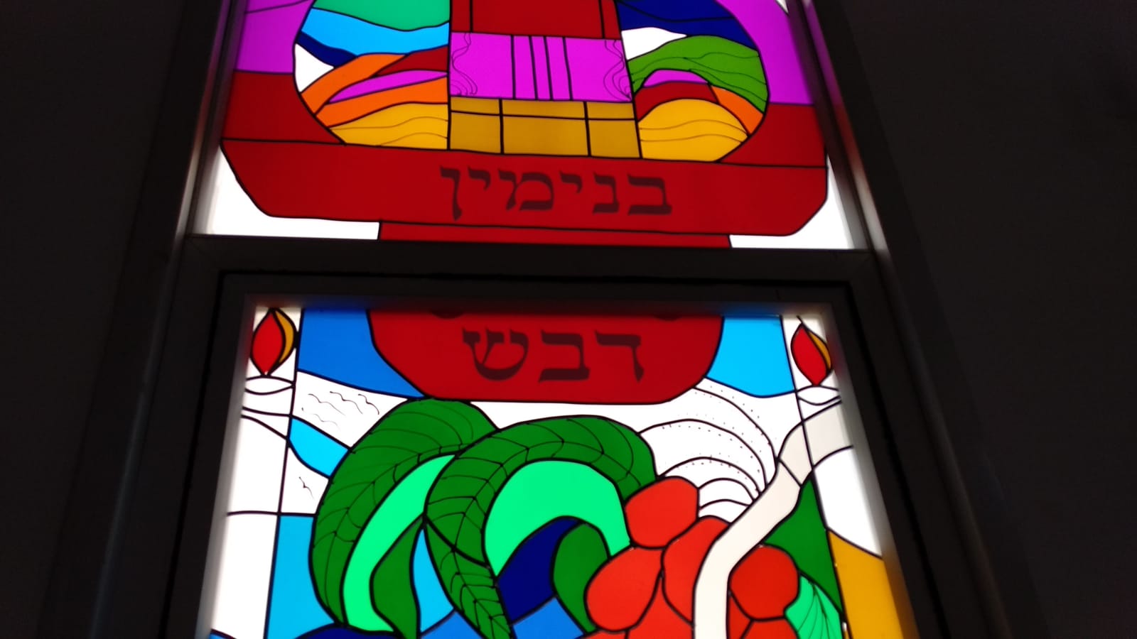 ויטראז'ים 12 שבטים- שבעת המינים (16)