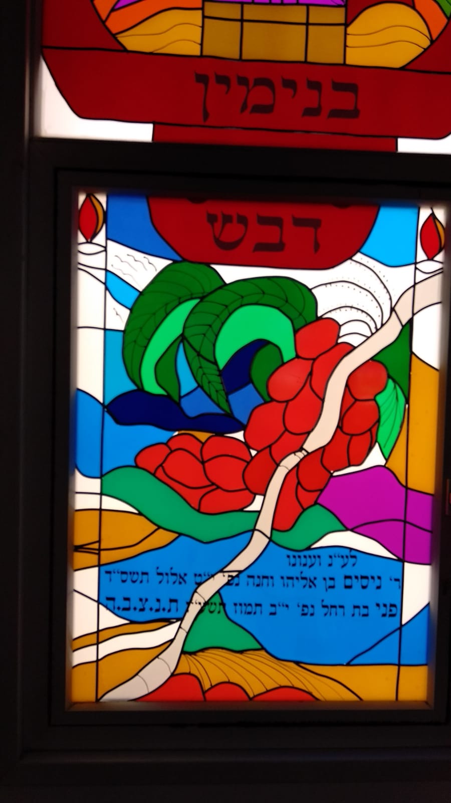 ויטראז'ים 12 שבטים- שבעת המינים (17)