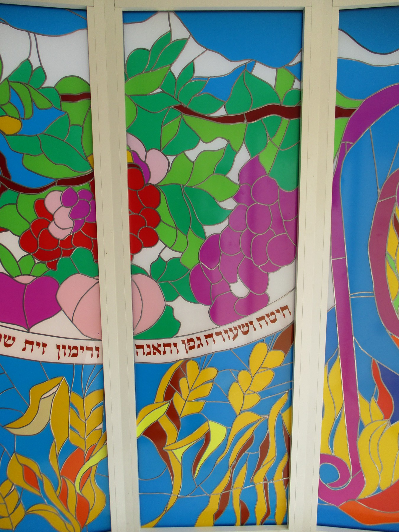 ויטראז'ים שבעת המינים (5)