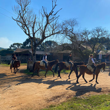 passeio08