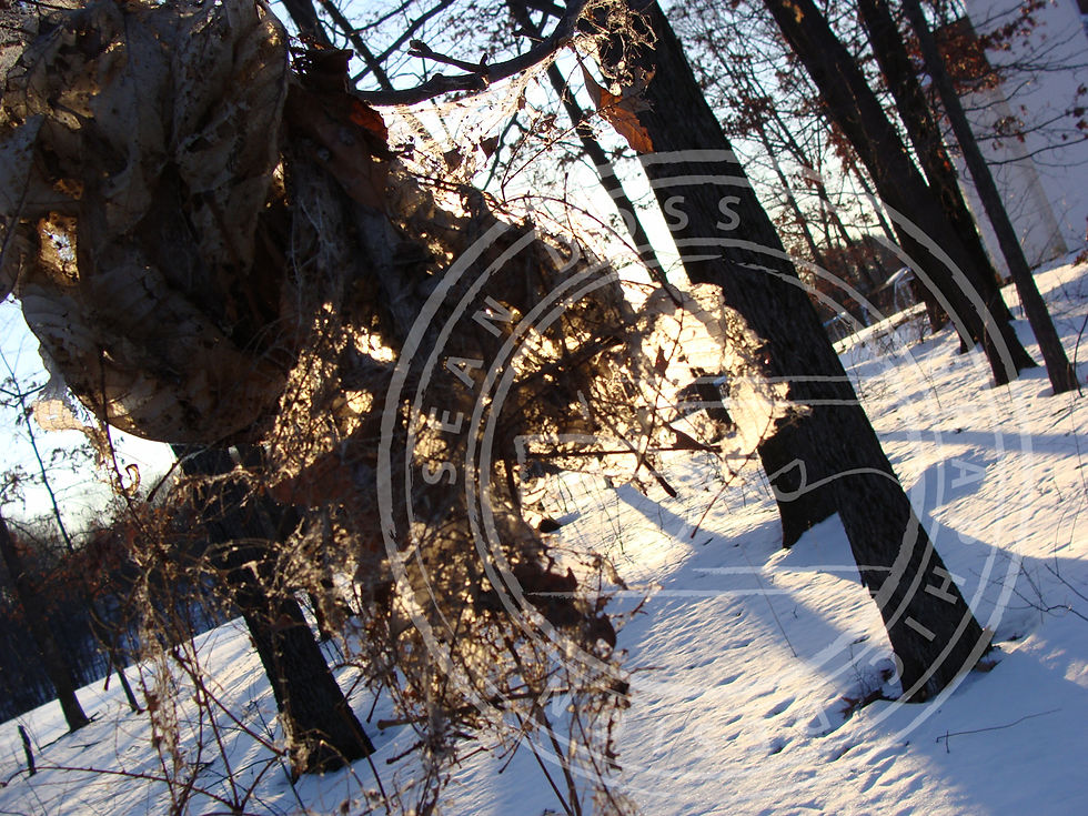 Frozen bundle of leaves