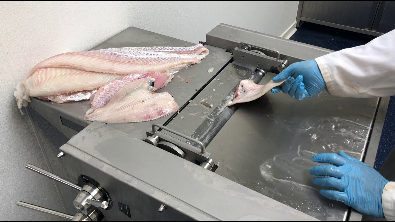 Skinning / filleting machines

