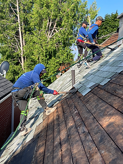 Residential Roofing Toronto Roofing Monkeys