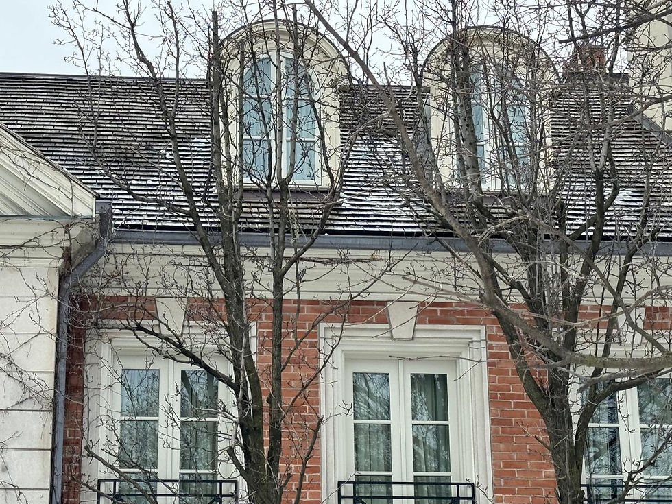 Thumbnail: Roof Snow Removal