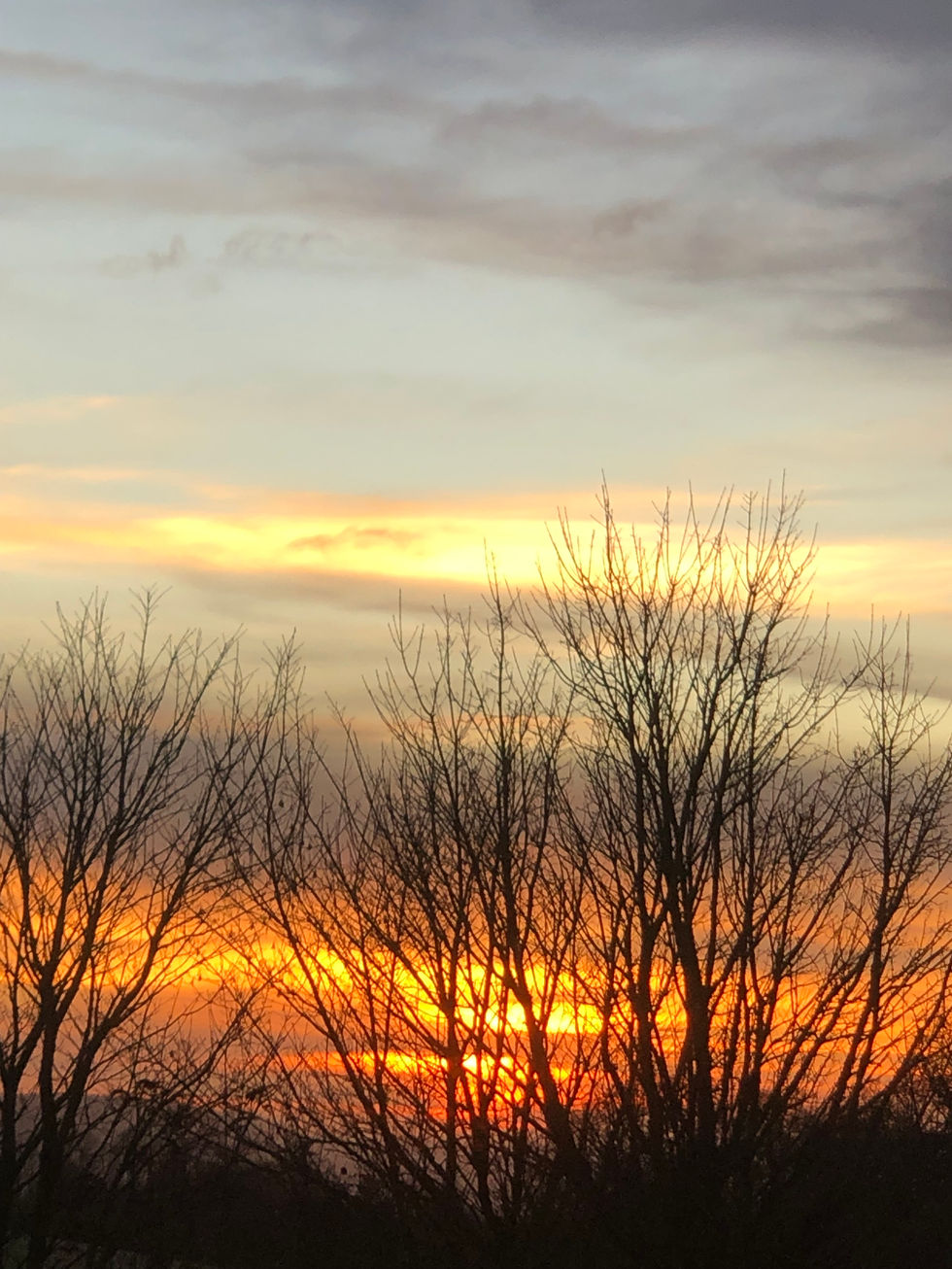 Captivating Winter Skyscape Over Treeline at Lower Mill Estate