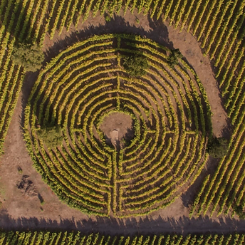 Captura de Pantalla 2025-10-19 a la(s) 21.07.16.png