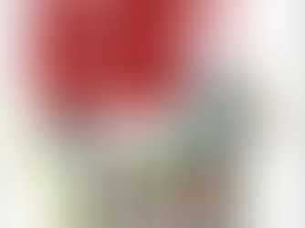 Cartilha de Direitos das pessoas privadas de liberdade e egressas do sistema prisional.