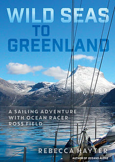WildSeasToGreenland_FRONTCVR (1).jpg