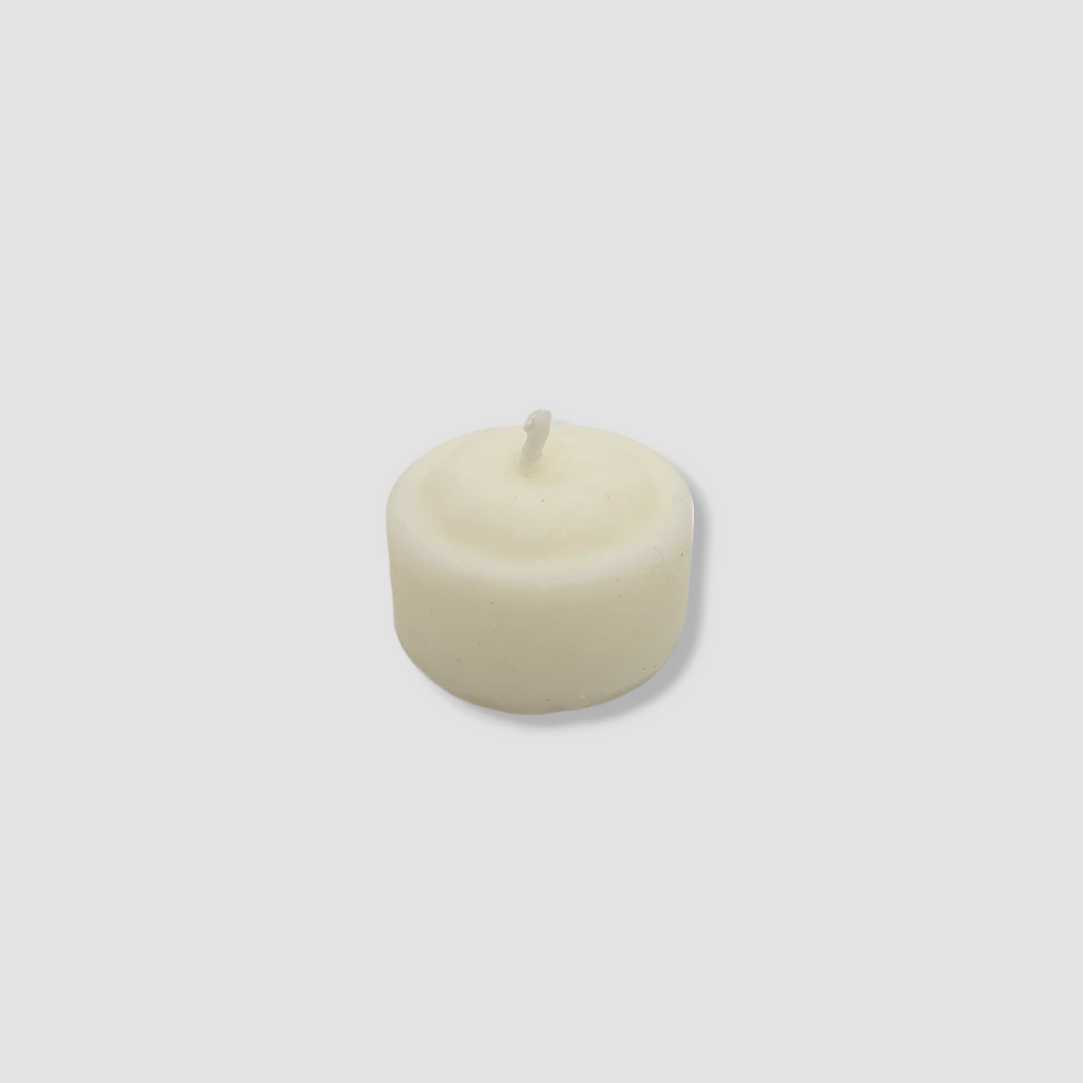 Miniatura: REFIL VELA DE CERA DE COCO ESSENCIA  ARAUCARIA 15G/3H P/ QUEIM. RECHAUD