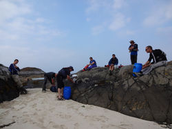 DSC00568.JPG