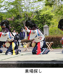 巣場探し.jpg