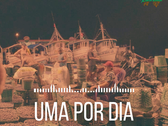 Playlist de janeiro dedicada a Belém