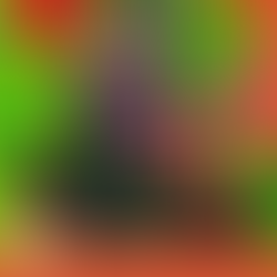 Lambateria segue animando a noite de Belém