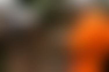 Vídeoclipe “Vila da Barca” será lançado neste sábado,06