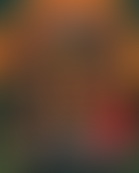 Quinta tem lambateria em belém