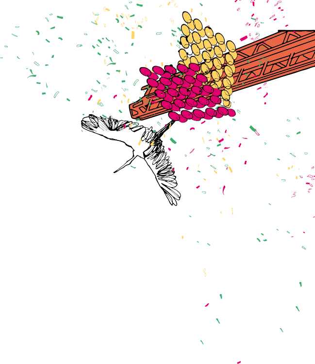 aplucação - site-09.png