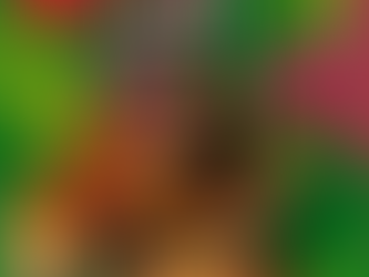 Quinta tem Lambateria em Belém