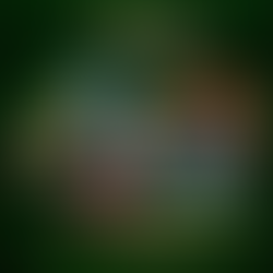 Lambateria retorna em nova casa