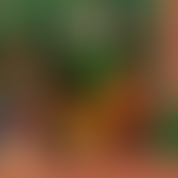 Quinta é na Lambateria!