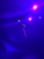 IMG_5712.jpeg