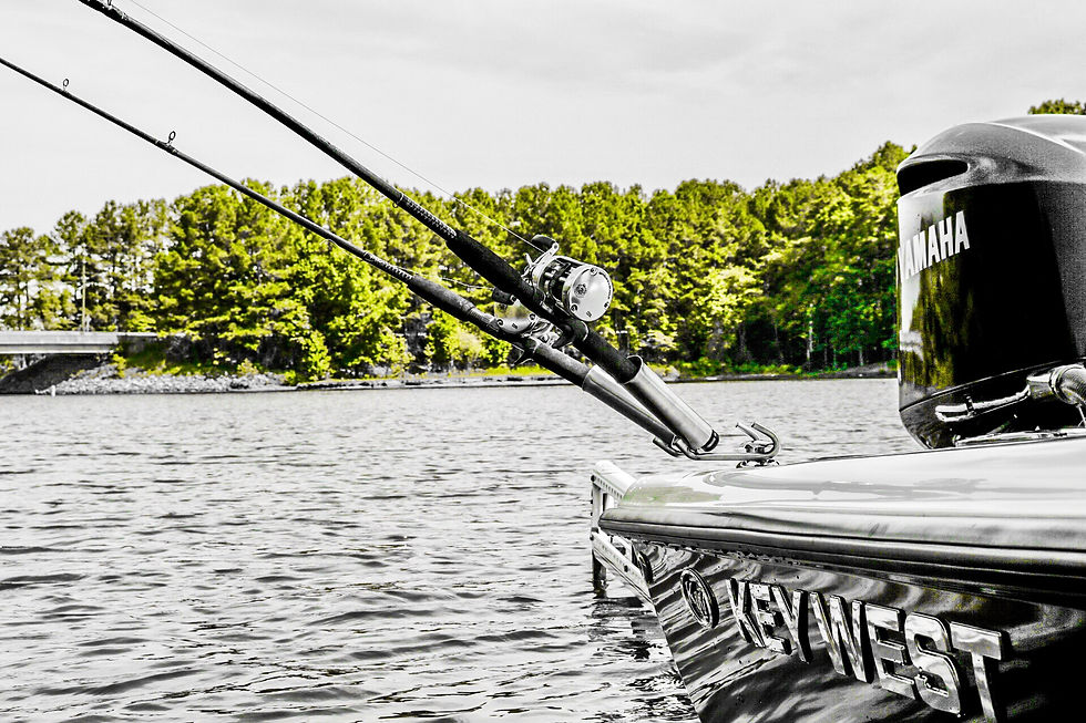 boat cleat rod holders