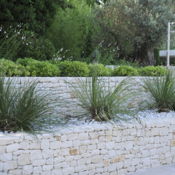 Galerie_jardin_sec_5.jpg