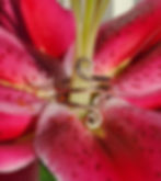 Thumbnail: COPPER HIGH FREQUENCY RING SWIRLS