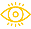Vision.png