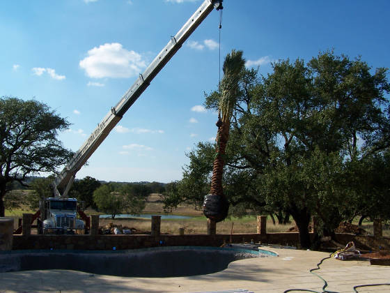 crane3_jpg_w560h420.jpg