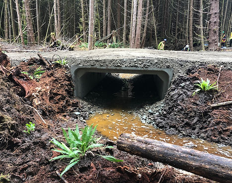 ʔapsčiik t’ašii Pathway Construction