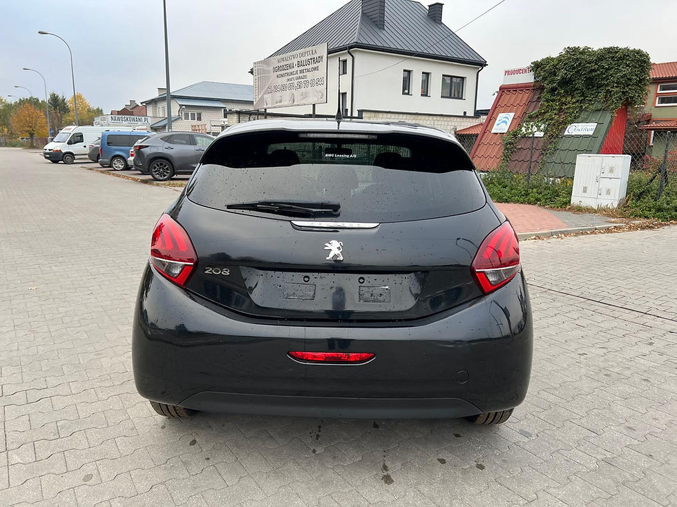 Miniatura: Peugeot 2019 Rok