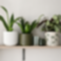 KM Pot Shelf 2.png